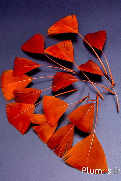 Blütenblätter aus Federn - 6-8 x 3-4 cm - aztekengold